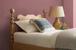 Rose Brocade SW 0004 Paint Color by Sherwin Williams
