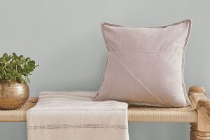 Silver Tipped Sage SW 9642 Paint Color by Sherwin Williams