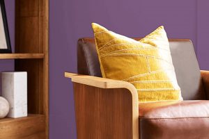 Vigorous Violet SW 6838 Paint Color by Sherwin Williams