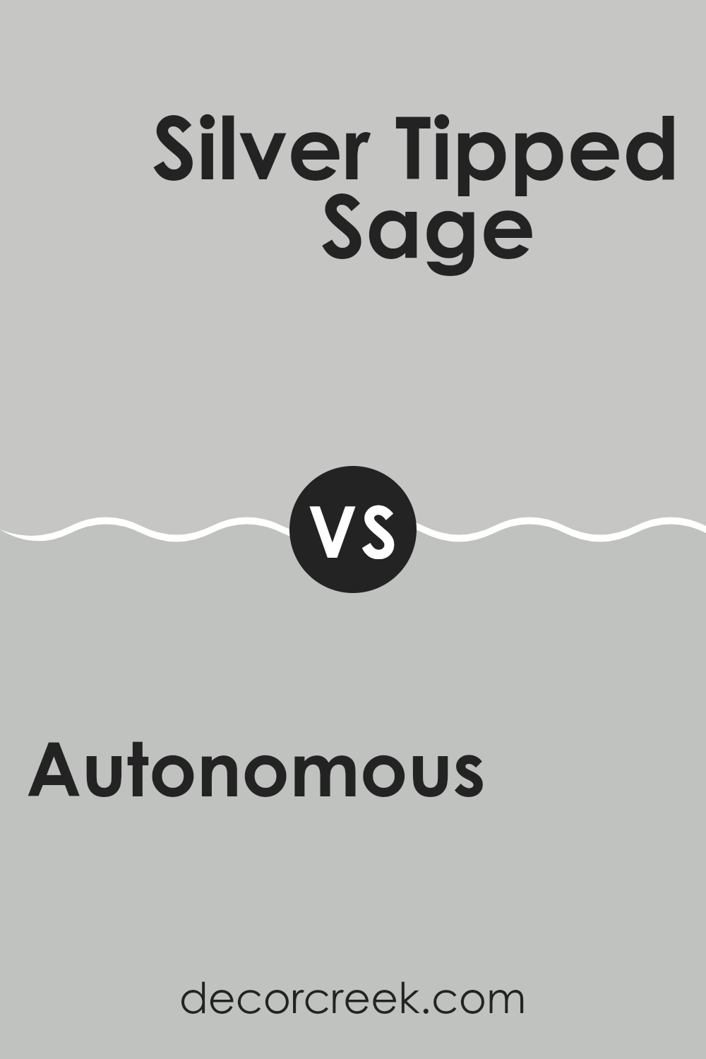 autonomous_sw_9557_vs_silver_tipped_sage_sw_9642