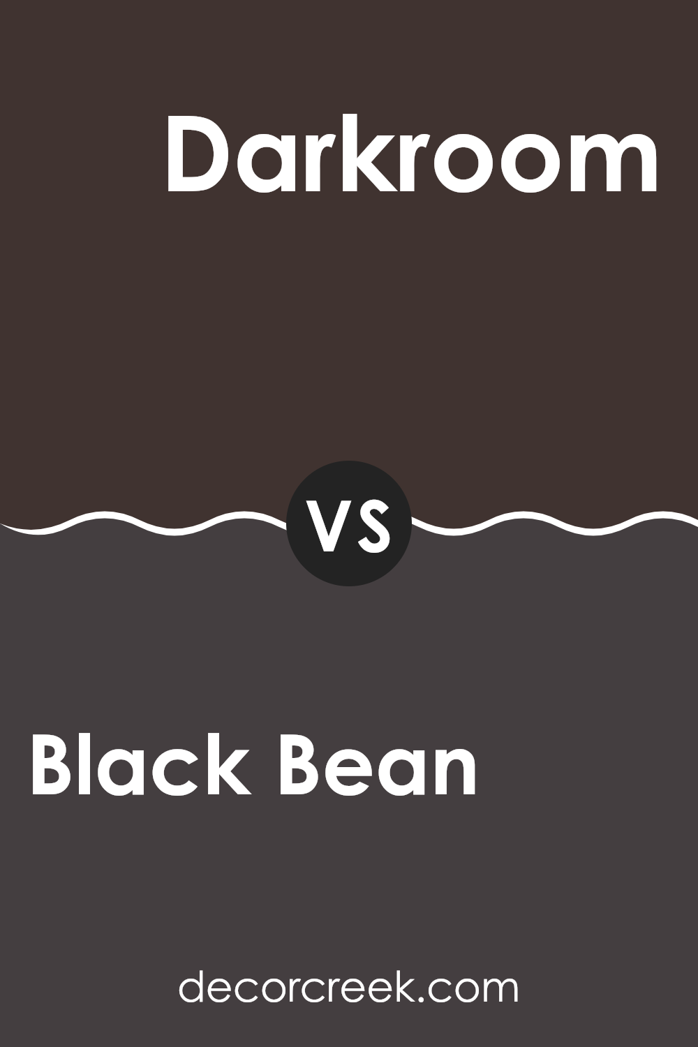 black_bean_sw_6006_vs_darkroom_sw_7083