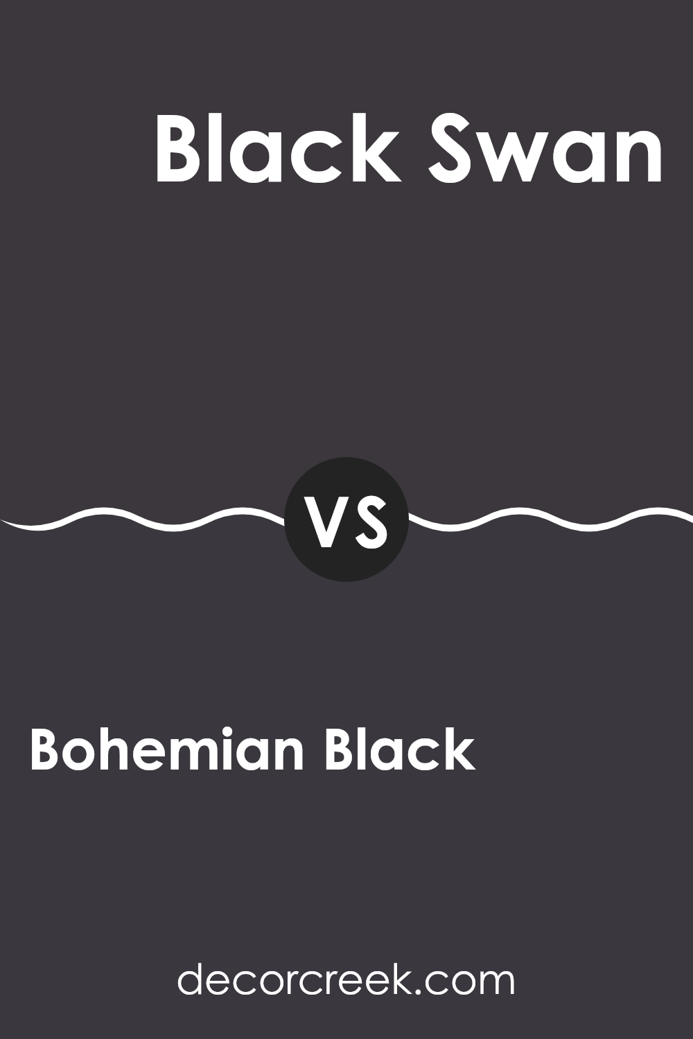 bohemian_black_sw_6988_vs_black_swan_sw_6279