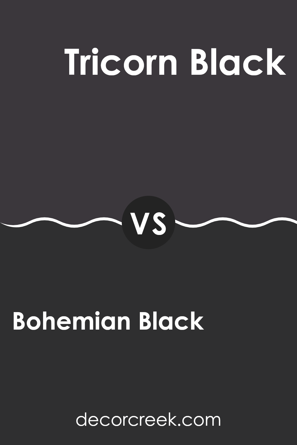 bohemian_black_sw_6988_vs_tricorn_black_sw_6258