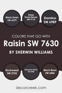 Raisin SW 7630 Paint Color by Sherwin Williams - DecorCreek