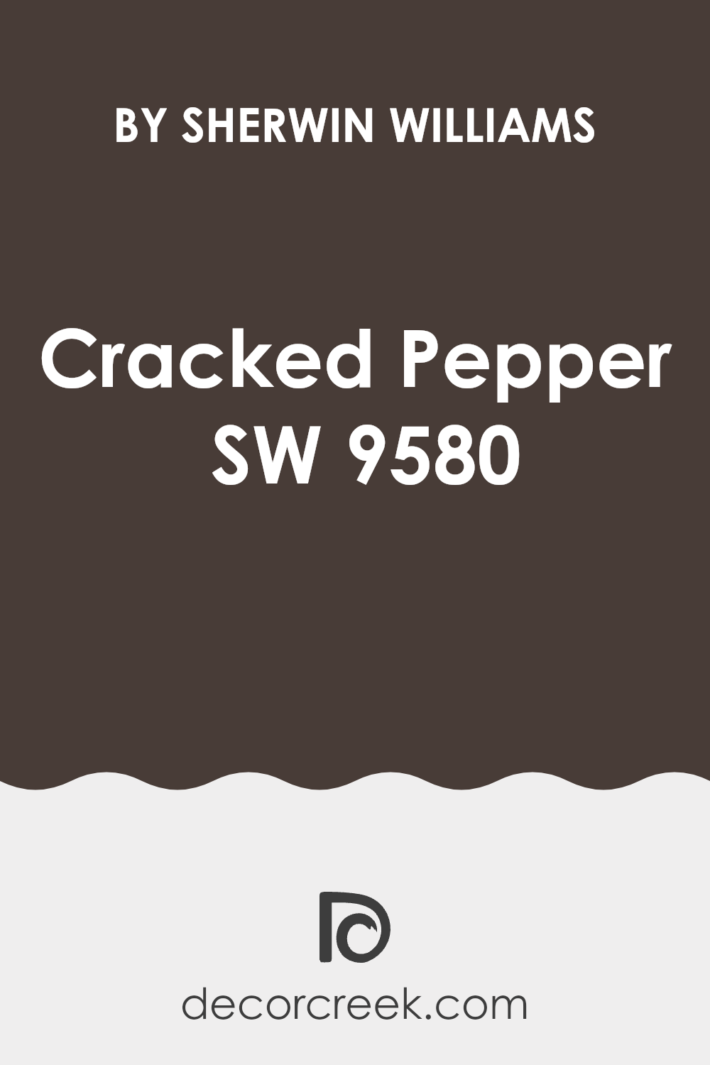 cracked_pepper_sw_9580_paint_color_by_sherwin_williams