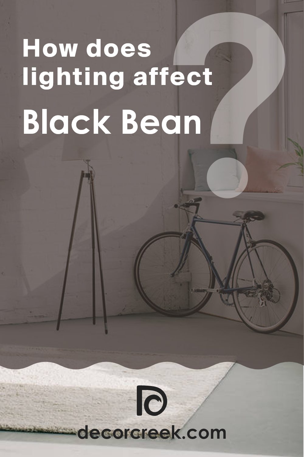 how_does_lighting_affect_black_bean_sw_6006