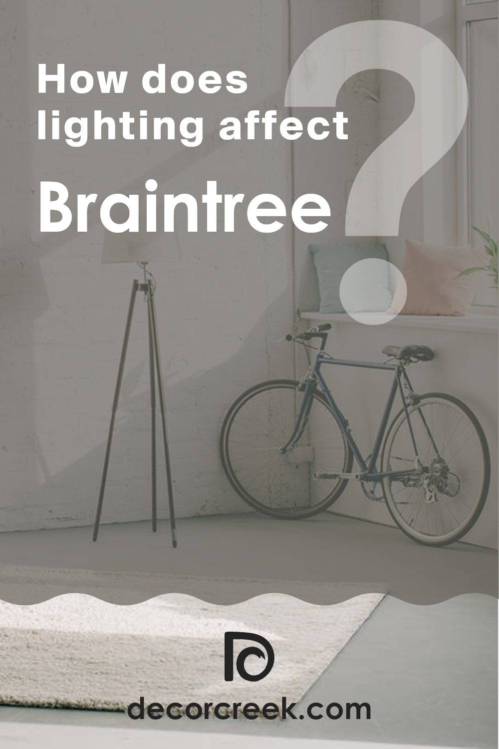 how_does_lighting_affect_braintree_sw_9595