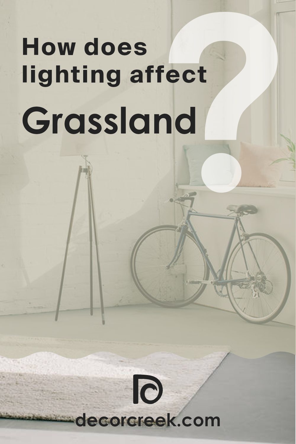 how_does_lighting_affect_grassland_sw_6163