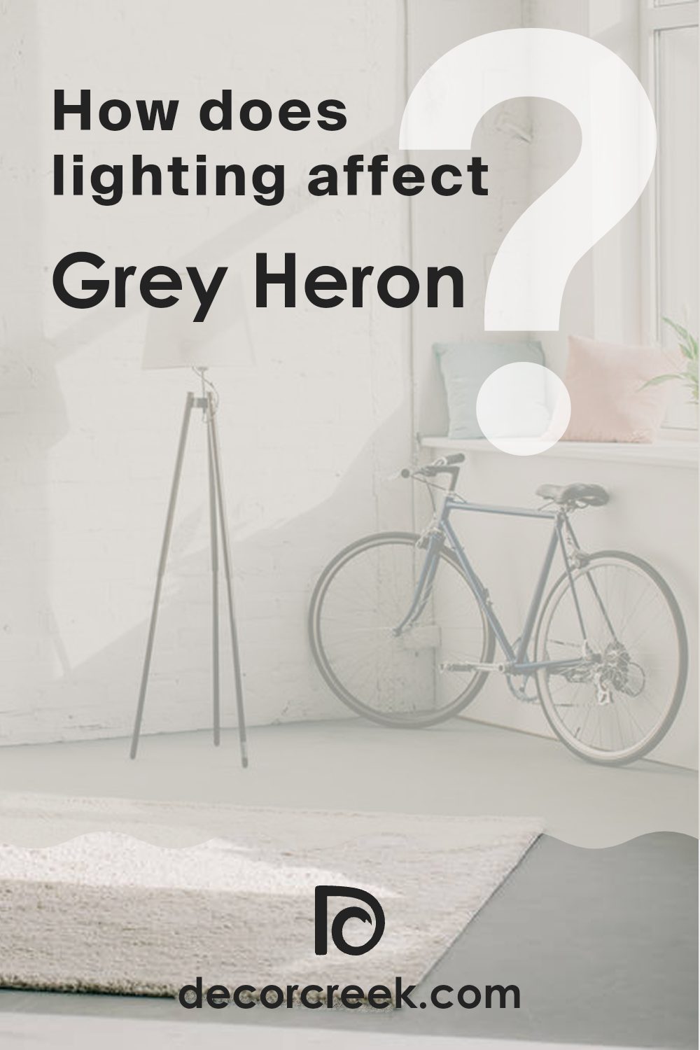 how_does_lighting_affect_grey_heron_sw_9566