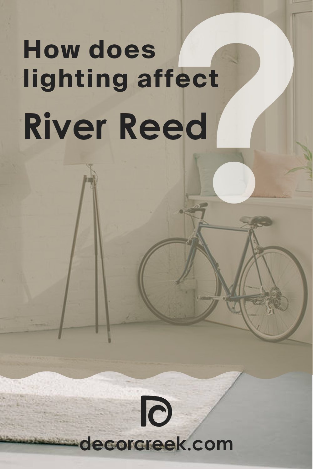 how_does_lighting_affect_river_reed_sw_9534