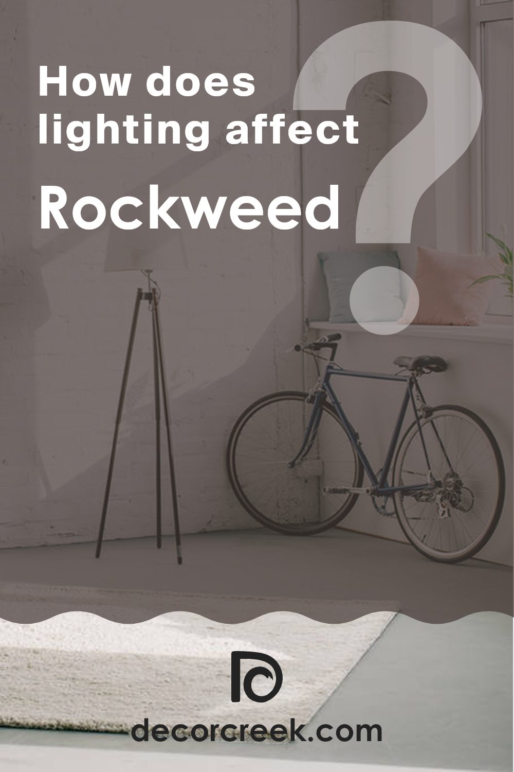 how_does_lighting_affect_rockweed_sw_2735