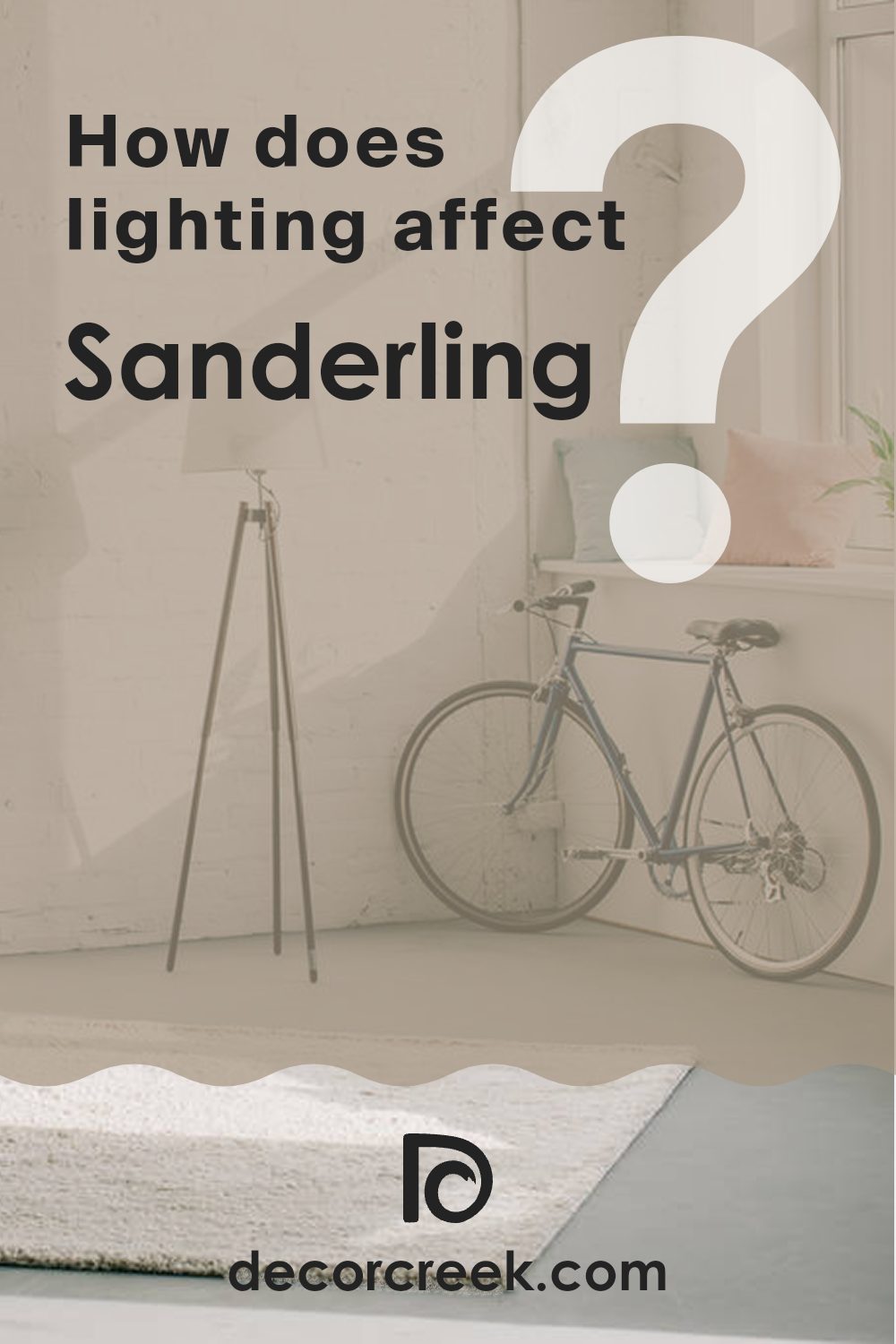 how_does_lighting_affect_sanderling_sw_7513