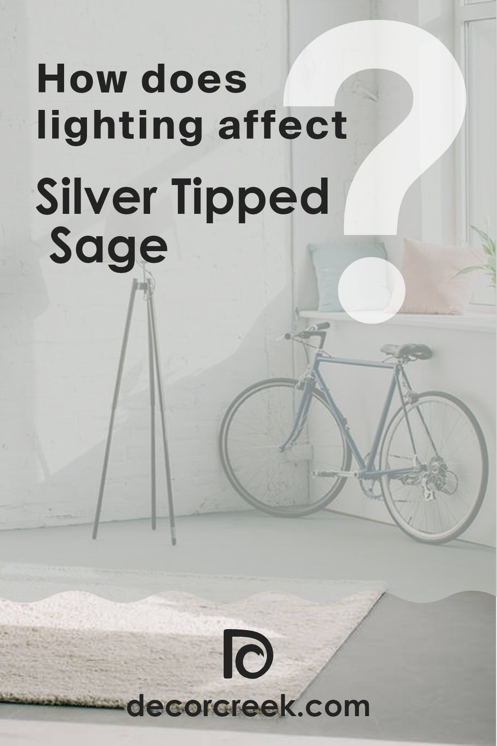 how_does_lighting_affect_silver_tipped_sage_sw_9642