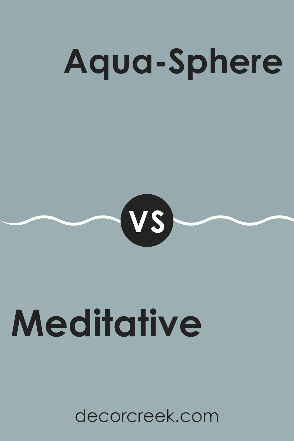 meditative_sw_6227_vs_aqua_sphere_sw_7613