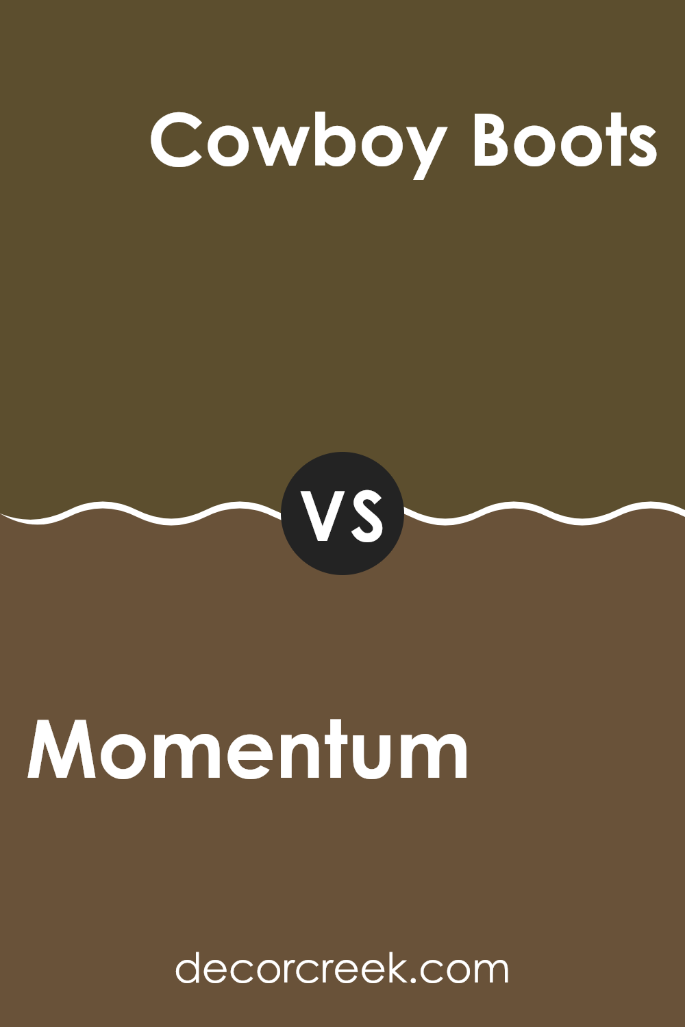 momentum_sw_9530_vs_cowboy_boots_sw_9115