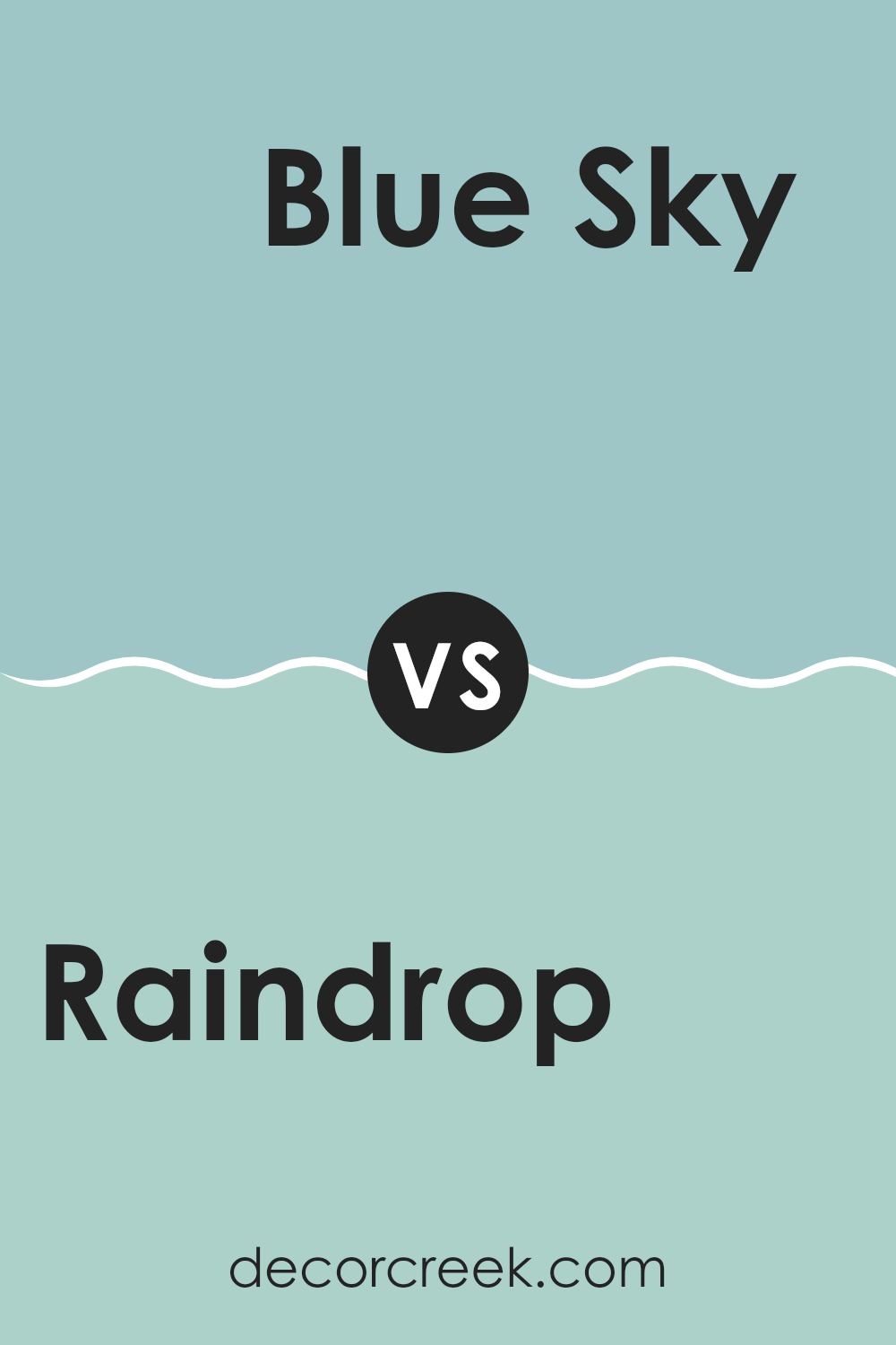 raindrop_sw_6485_vs_blue_sky_sw_0063
