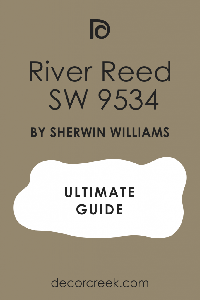 River Reed SW 9534 Paint Color by Sherwin Williams - DecorCreek