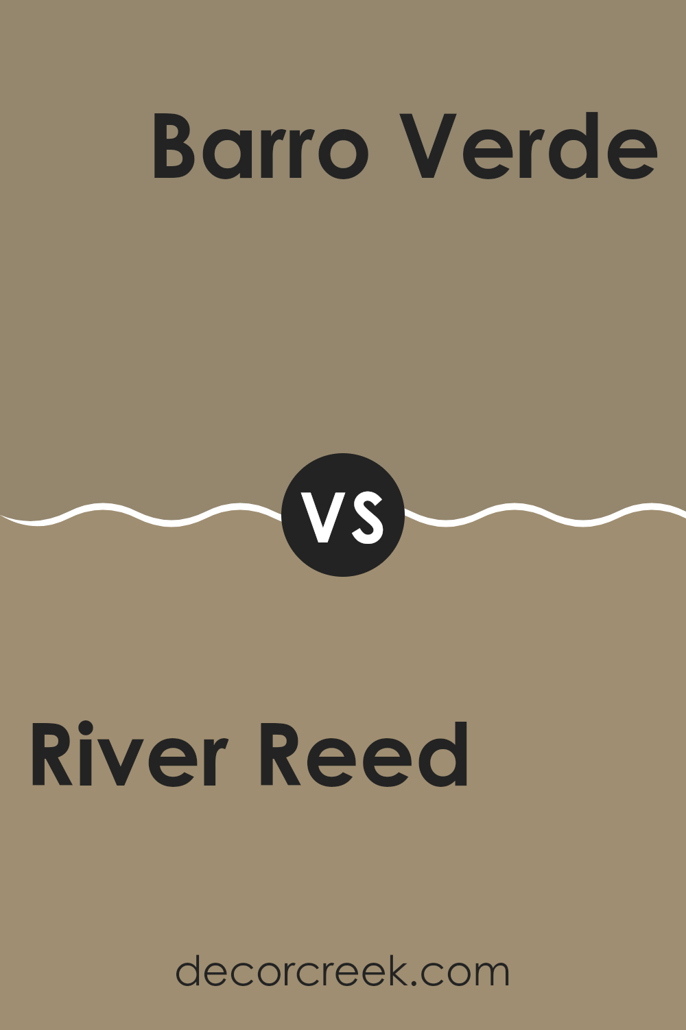 river_reed_sw_9534_vs_barro_verde_sw_9123