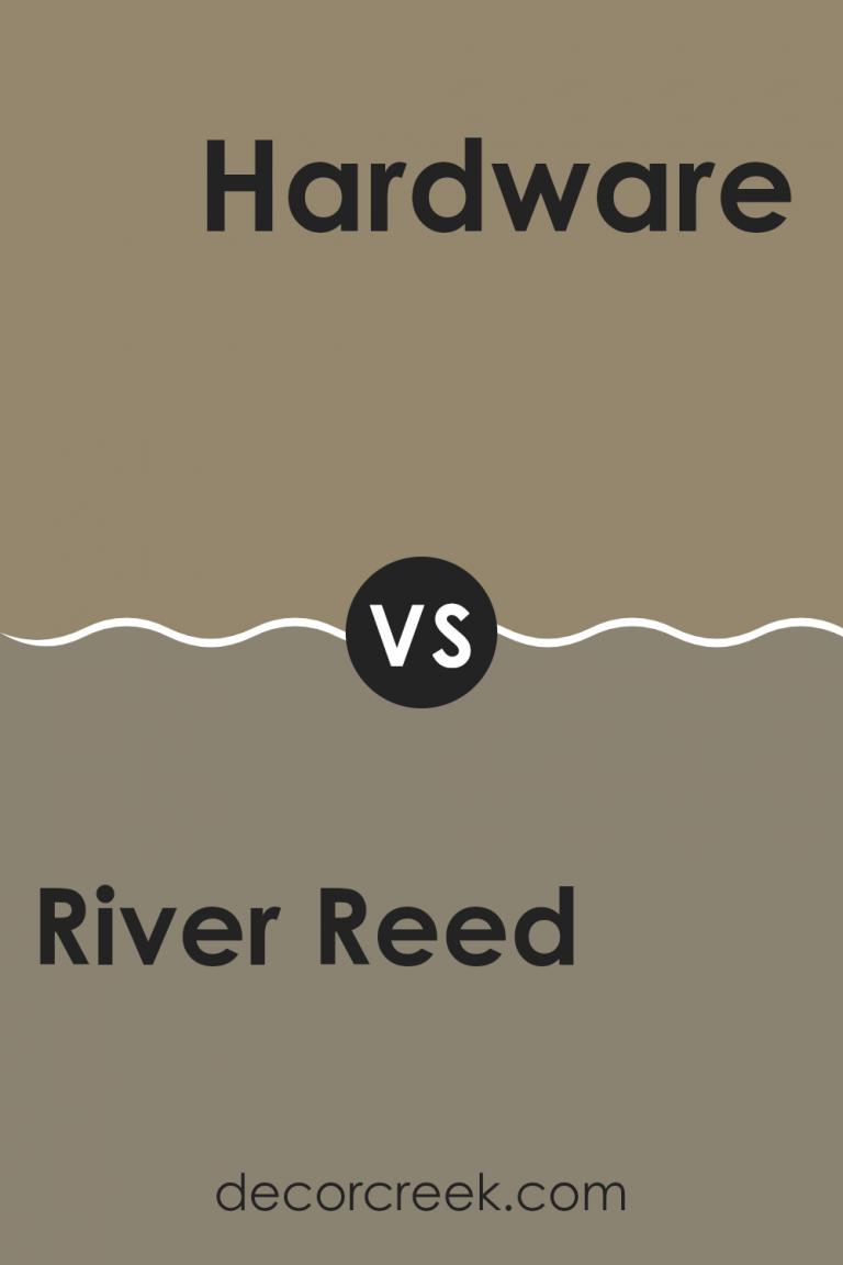 River Reed SW 9534 Paint Color by Sherwin Williams - DecorCreek