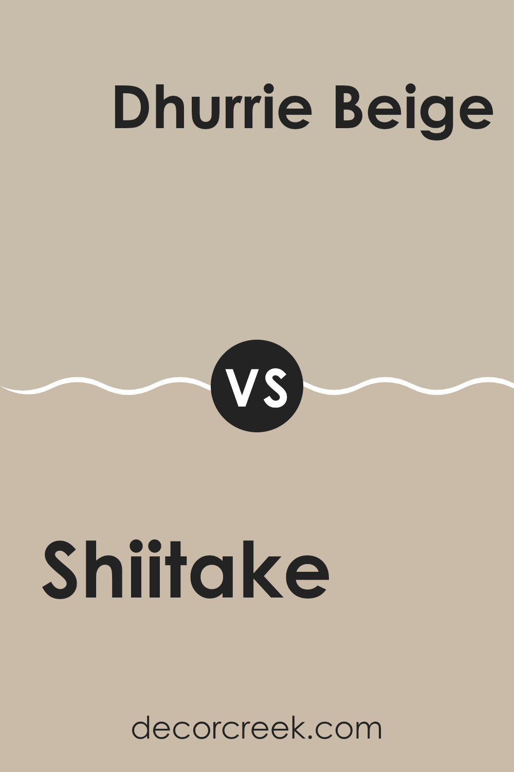 shiitake_sw_9173_vs_dhurrie_beige_sw_7524