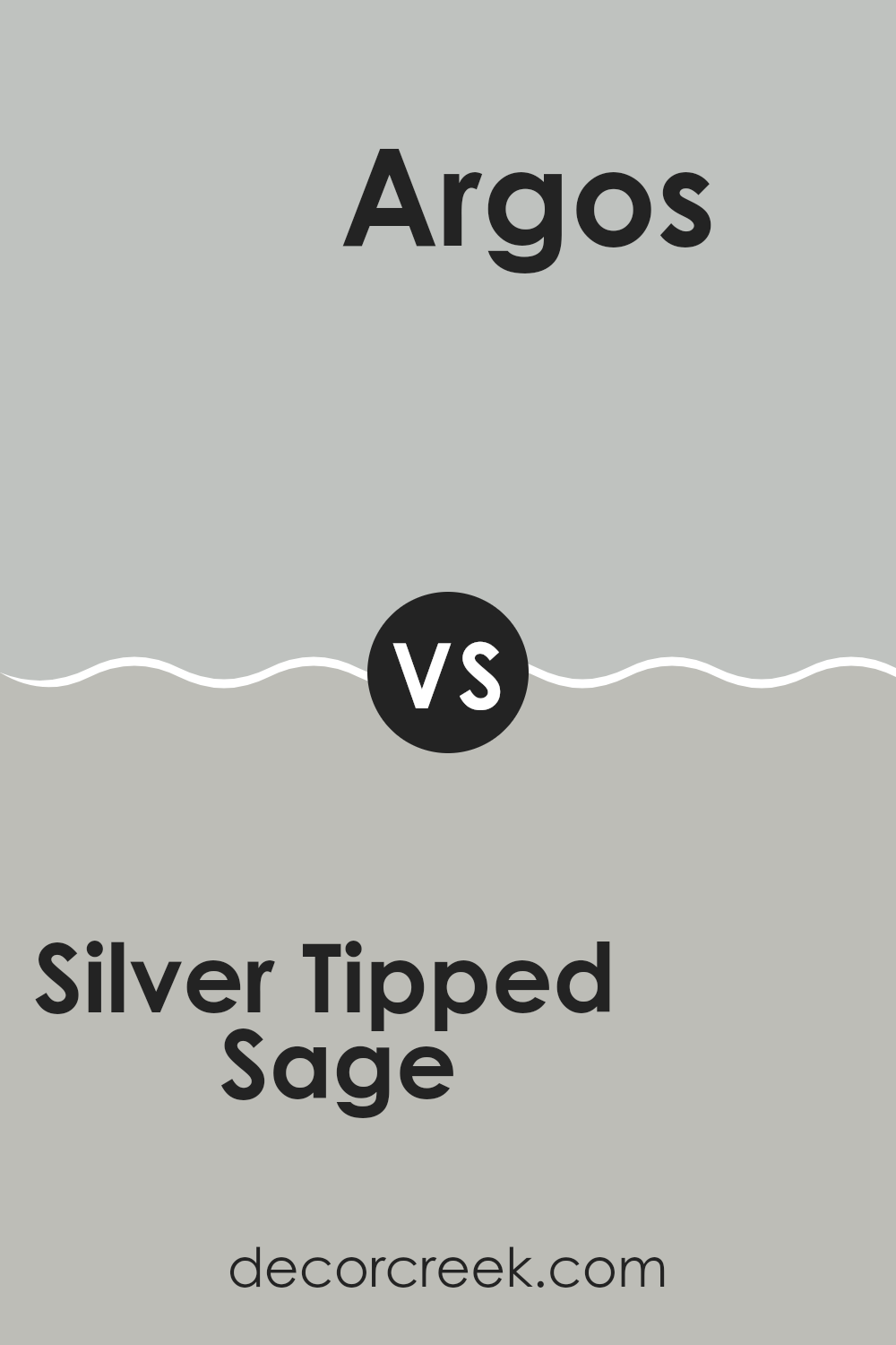 silver_tipped_sage_sw_9642_vs_argos_sw_7065