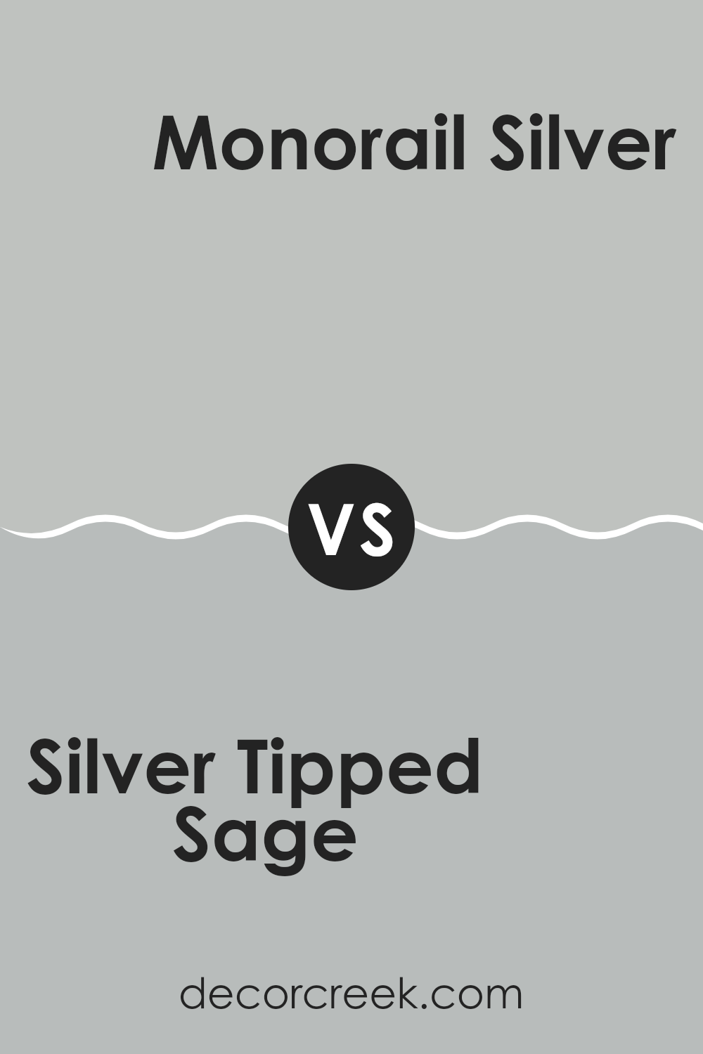 silver_tipped_sage_sw_9642_vs_monorail_silver_sw_7663