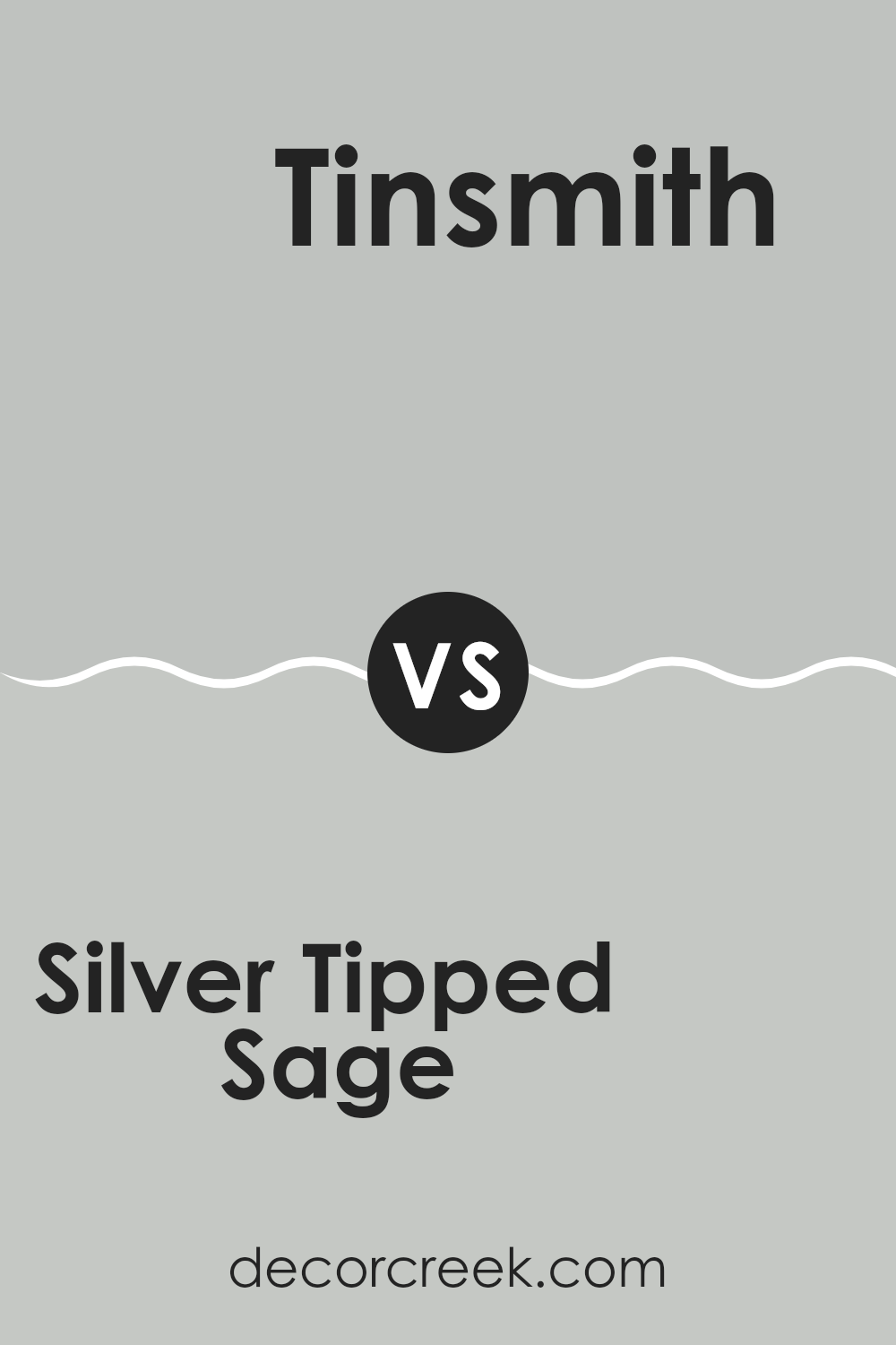 silver_tipped_sage_sw_9642_vs_tinsmith_sw_7657
