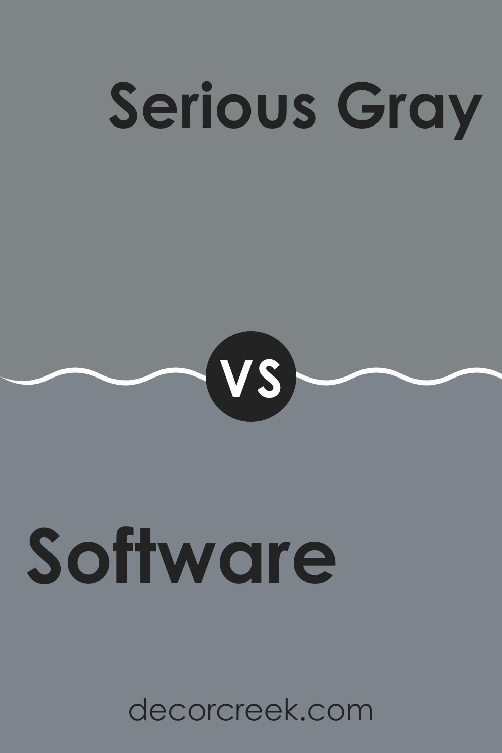 software_sw_7074_vs_serious_gray_sw_6256