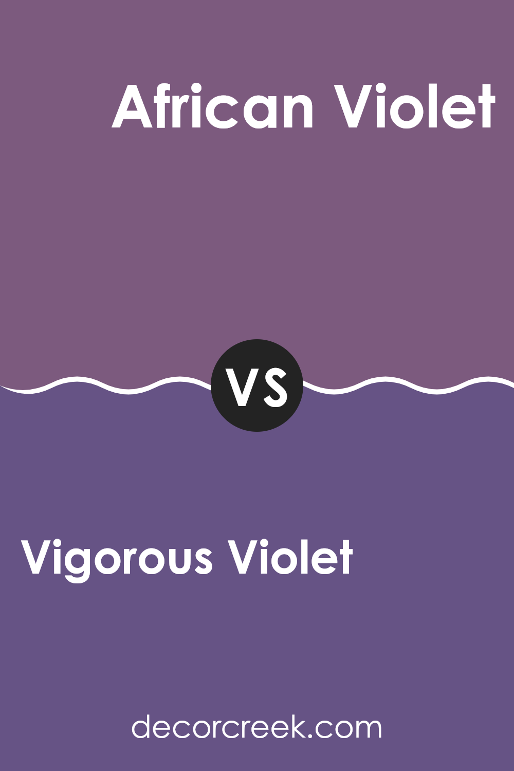 vigorous_violet_sw_6838_vs_african_violet_sw_6982