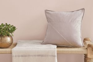 Abalone Shell SW 6050 Paint Color by Sherwin Williams