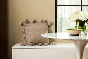 Harmonic Tan SW 6136 Paint Color by Sherwin Williams