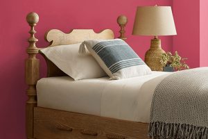 Heartfelt SW 6586 Paint Color by Sherwin Williams