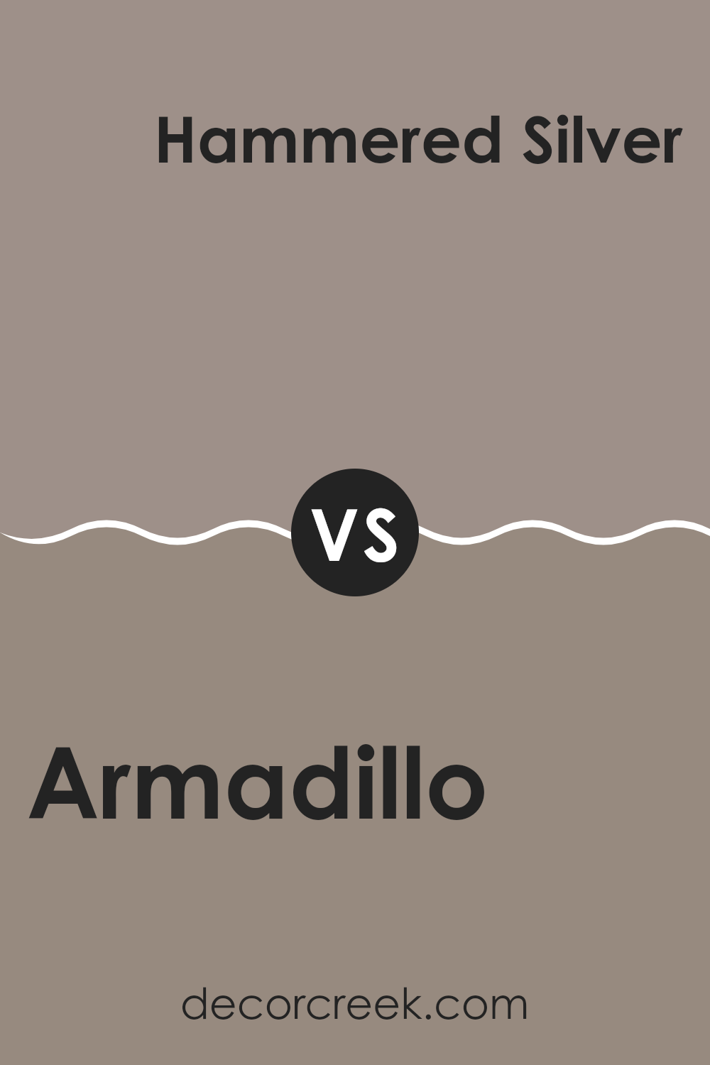 armadillo_sw_9160_vs_hammered_silver_sw_2840