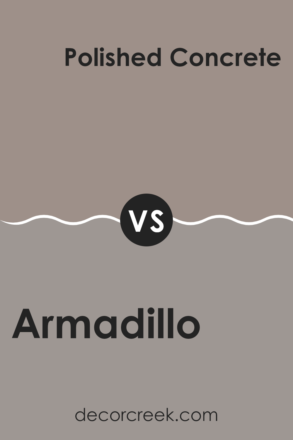 armadillo_sw_9160_vs_polished_concrete_sw_9167