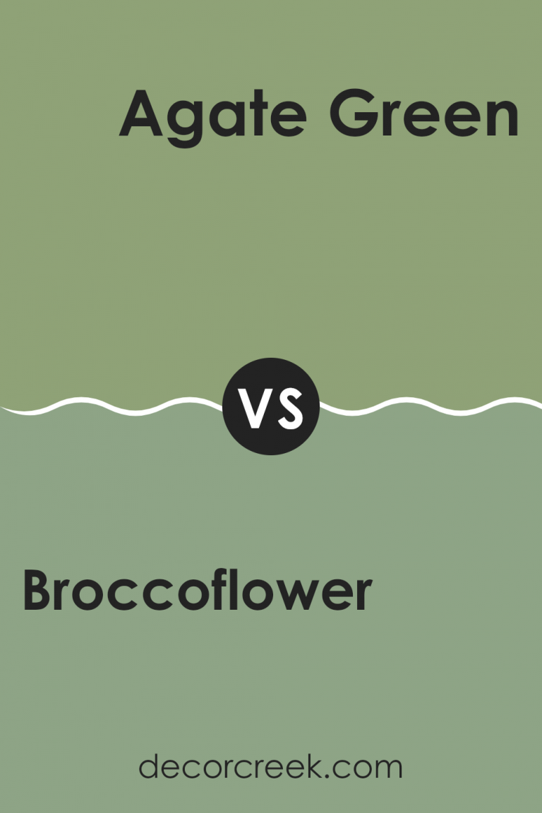 Broccoflower SW 9039 Paint Color by Sherwin Williams - DecorCreek