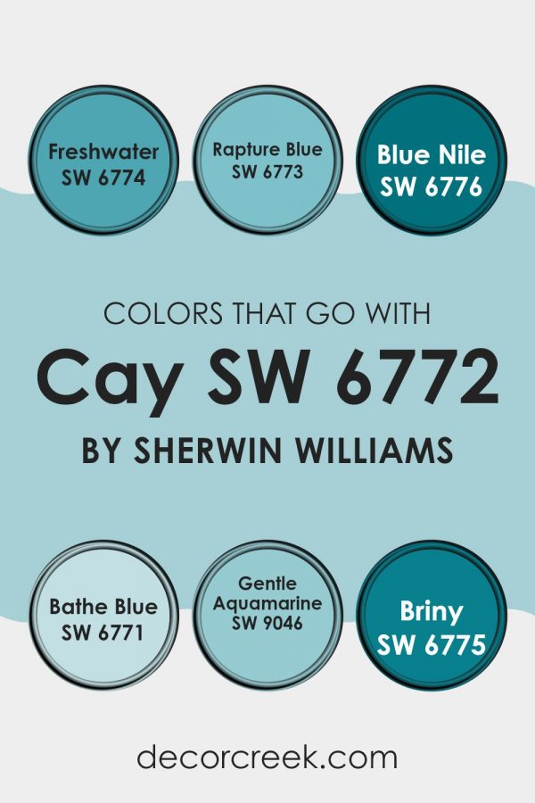 Cay SW 6772 Paint Color by Sherwin Williams - DecorCreek