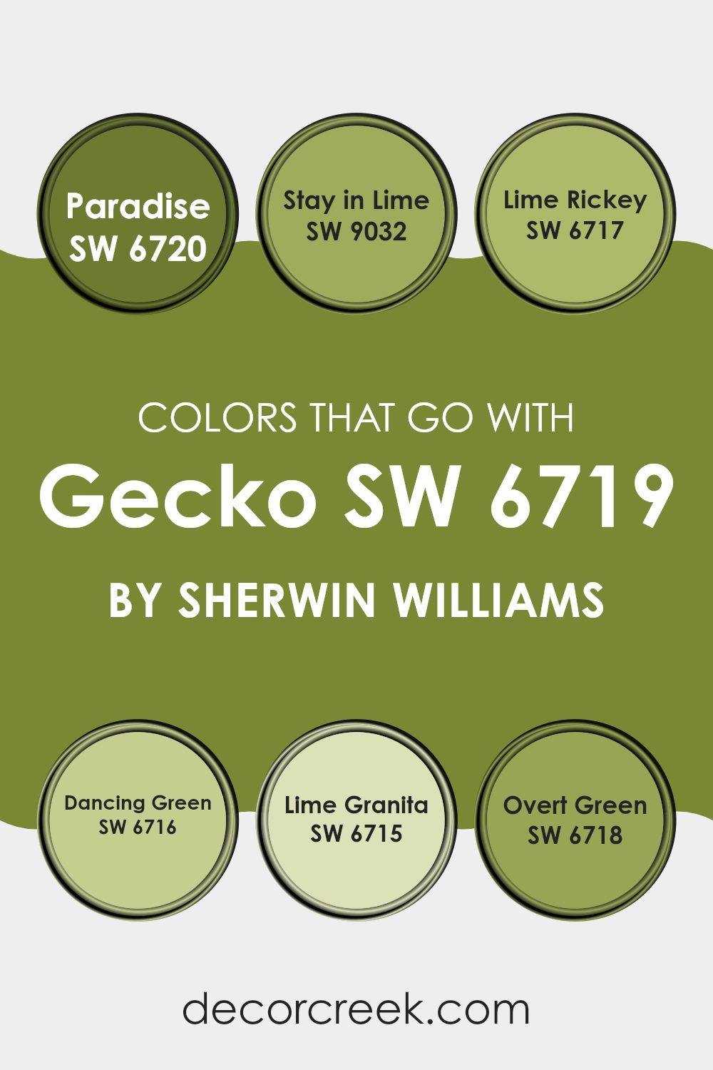 colors_that_go_with_gecko_sw_6719