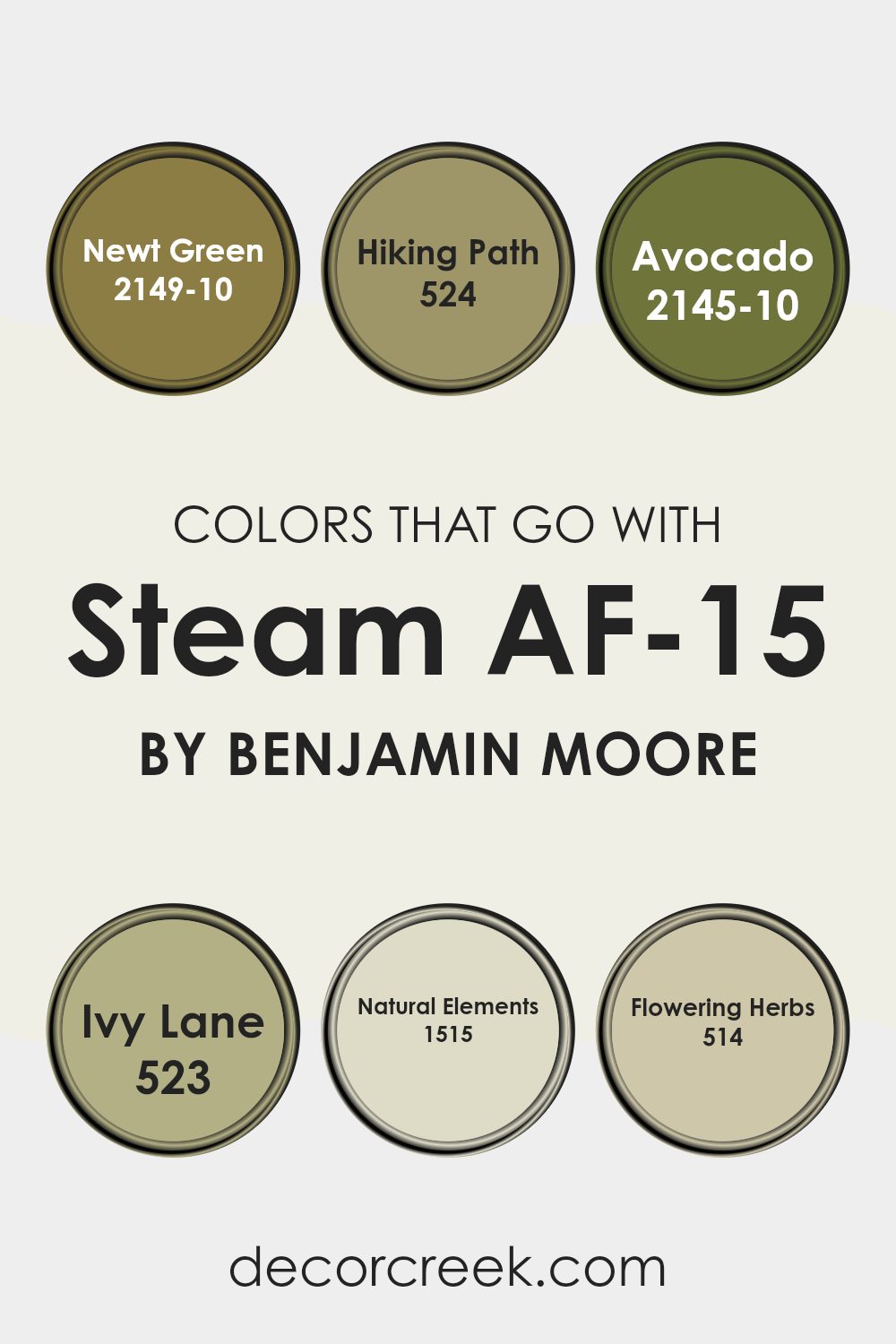 colors_that_go_with_steam_af_15
