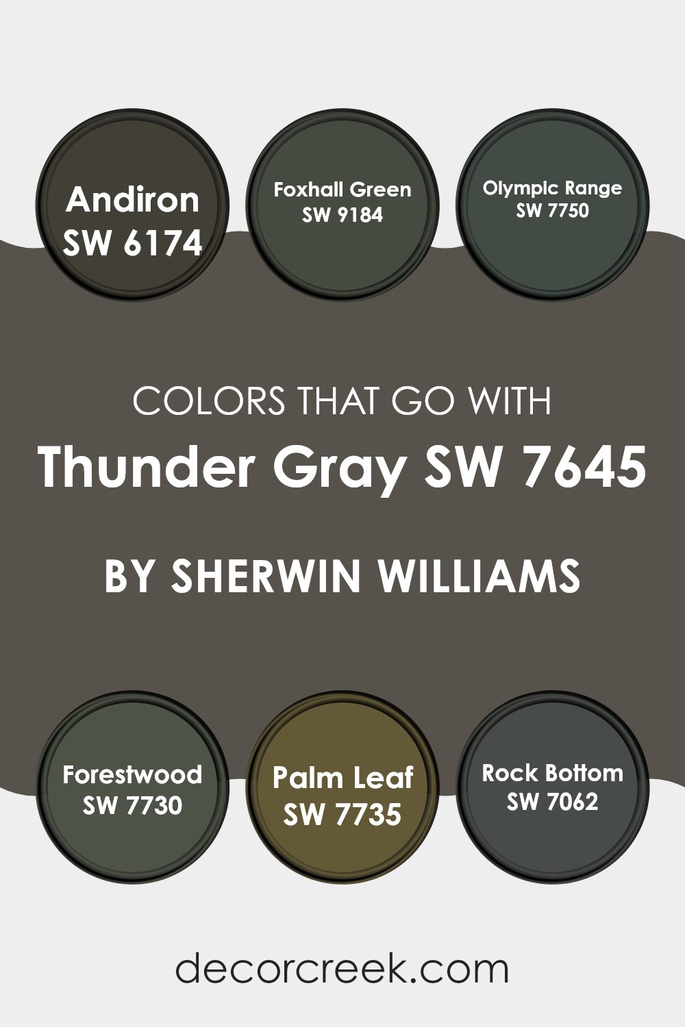 colors_that_go_with_thunder_gray_sw_7645