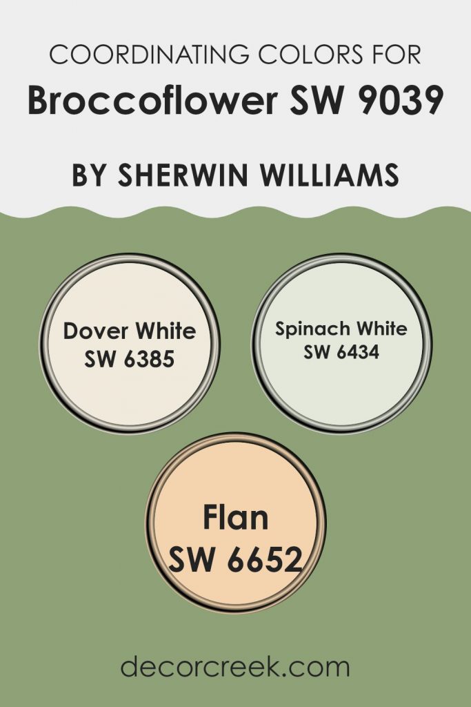 Broccoflower SW 9039 Paint Color by Sherwin Williams - DecorCreek