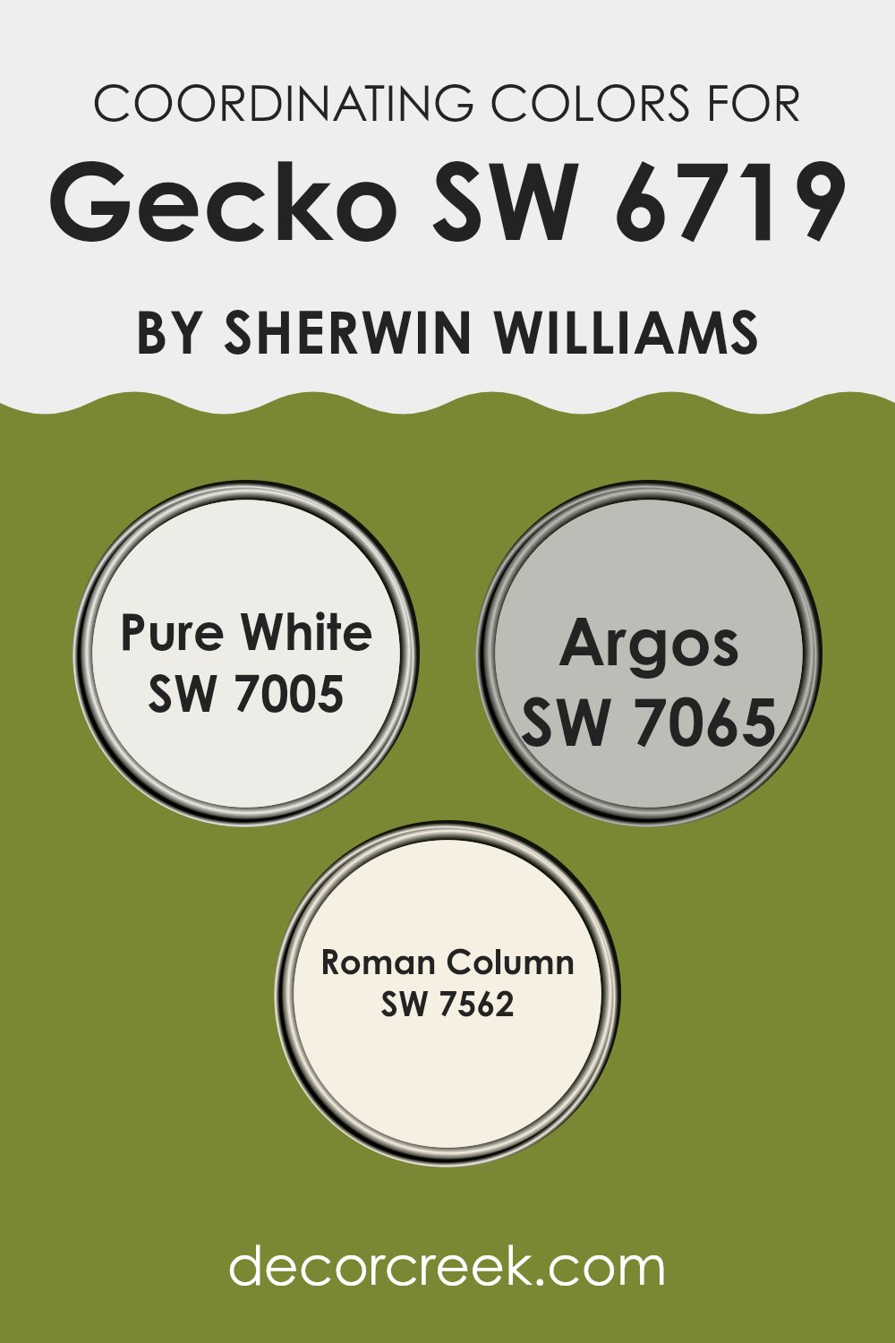coordinating_colors_of_gecko_sw_6719