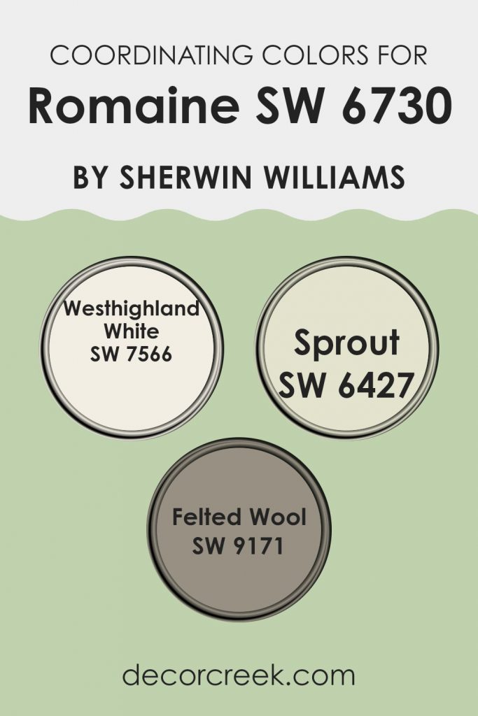 Romaine SW 6730 Paint Color by Sherwin Williams - DecorCreek