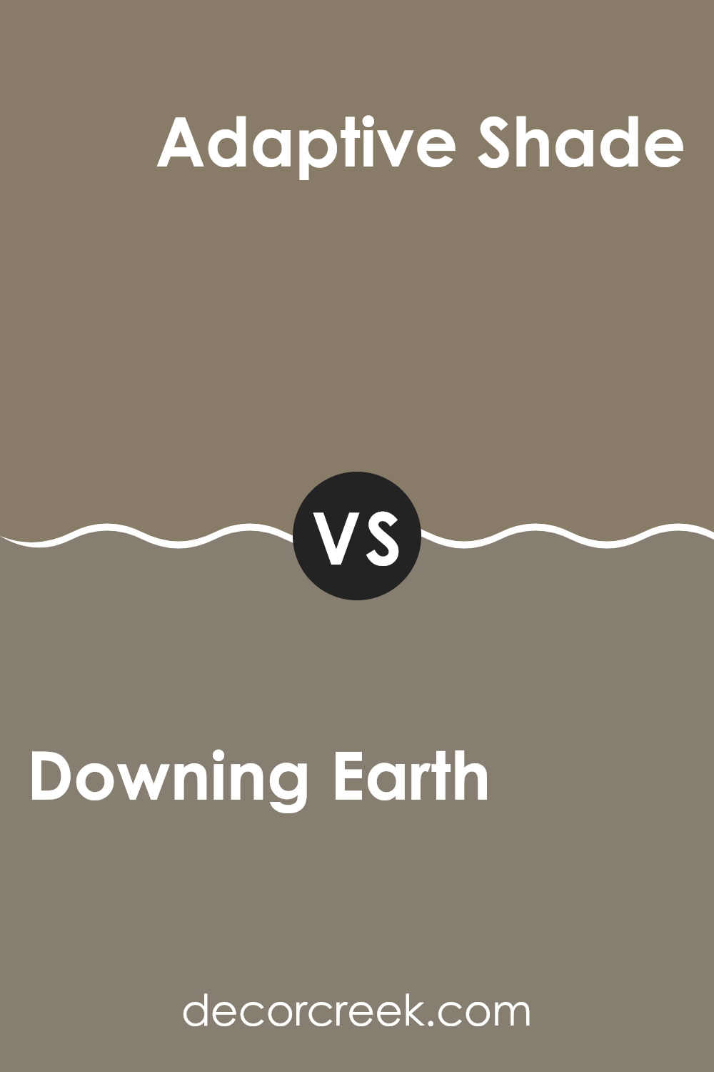 downing_earth_sw_2820_vs_adaptive_shade_sw_7053