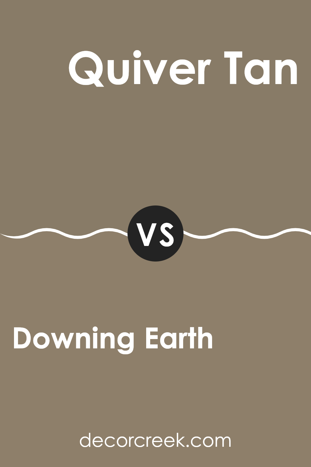 downing_earth_sw_2820_vs_quiver_tan_sw_6151