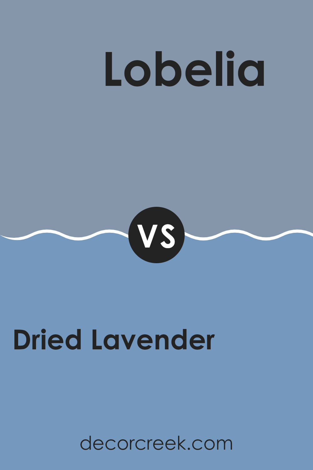 dried_lavender_sw_9072_vs_lobelia_sw_6809
