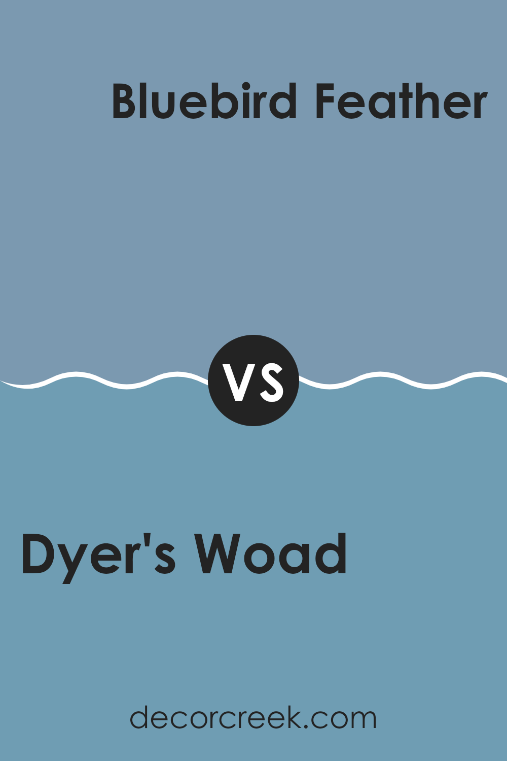 dyers_woad_sw_9071_vs_bluebird_feather_sw_9062