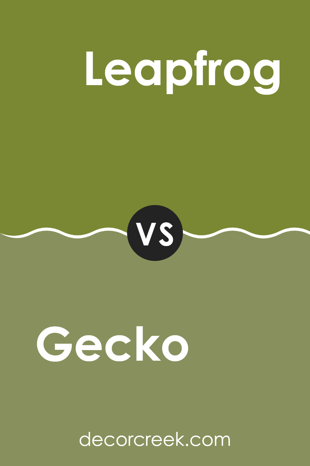 gecko_sw_6719_vs_leapfrog_sw_6431
