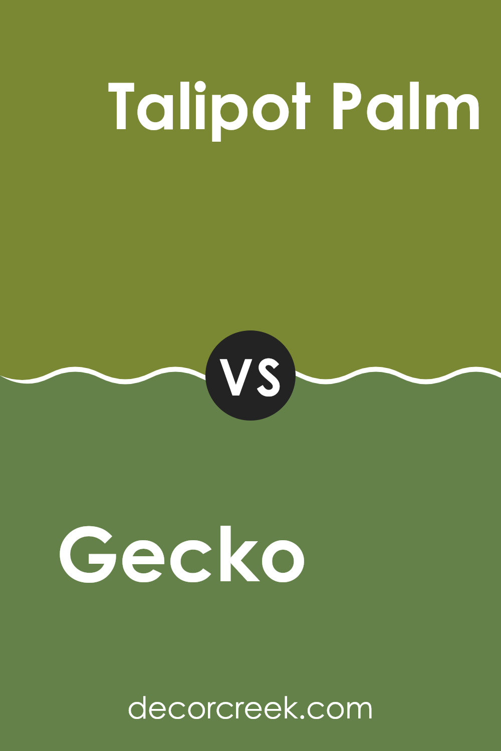 gecko_sw_6719_vs_talipot_palm_sw_6726