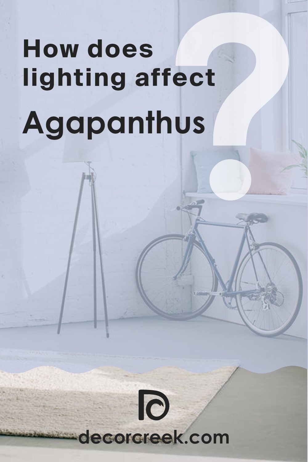 how_does_lighting_affect_agapanthus_sw_9066