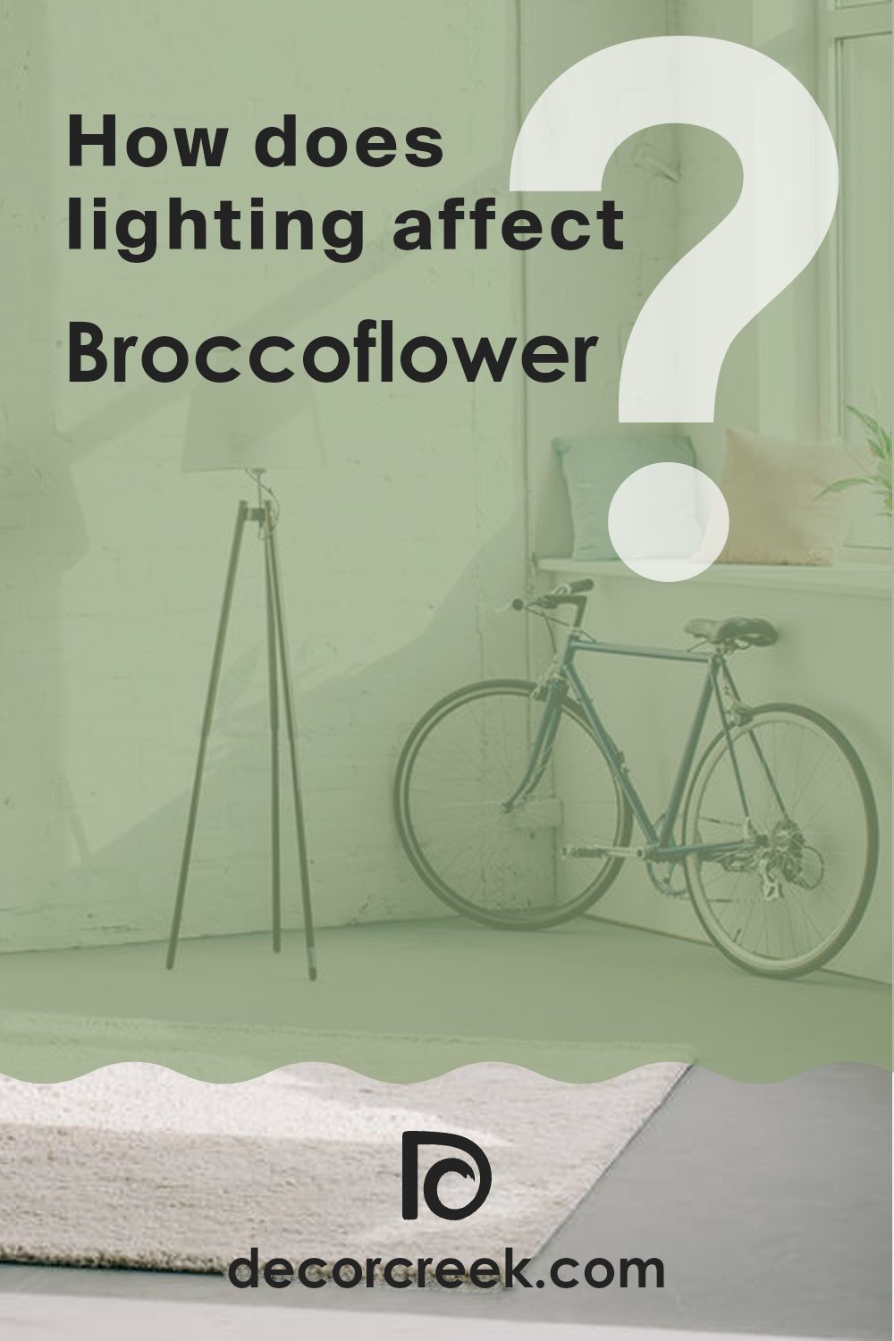 how_does_lighting_affect_broccoflower_sw_9039